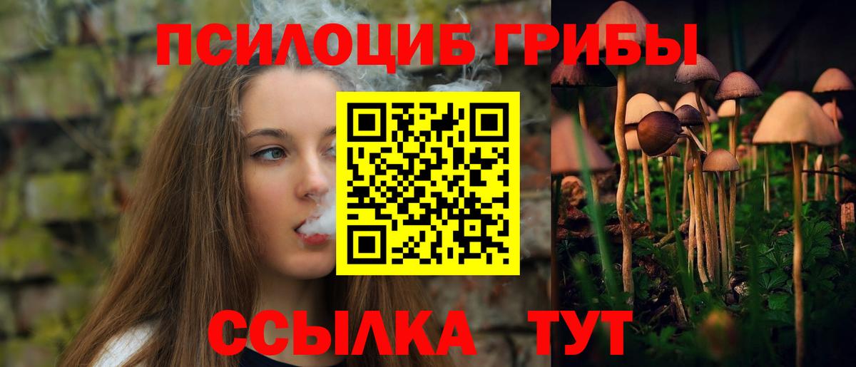 Галлюциногенные грибы Magic Shrooms Таганрог