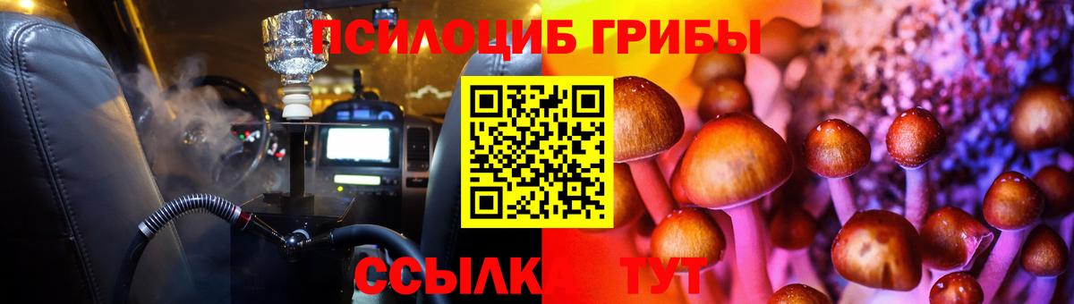 Галлюциногенные грибы Magic Shrooms  Вход с VPN  Таганрог  купить закладку  Псилоцибиновые грибы GOLDEN TEACHER 